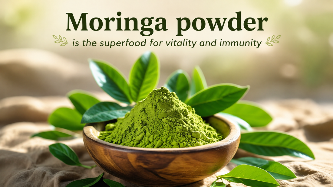 Moringa powder is the superfood for vitality and immunity